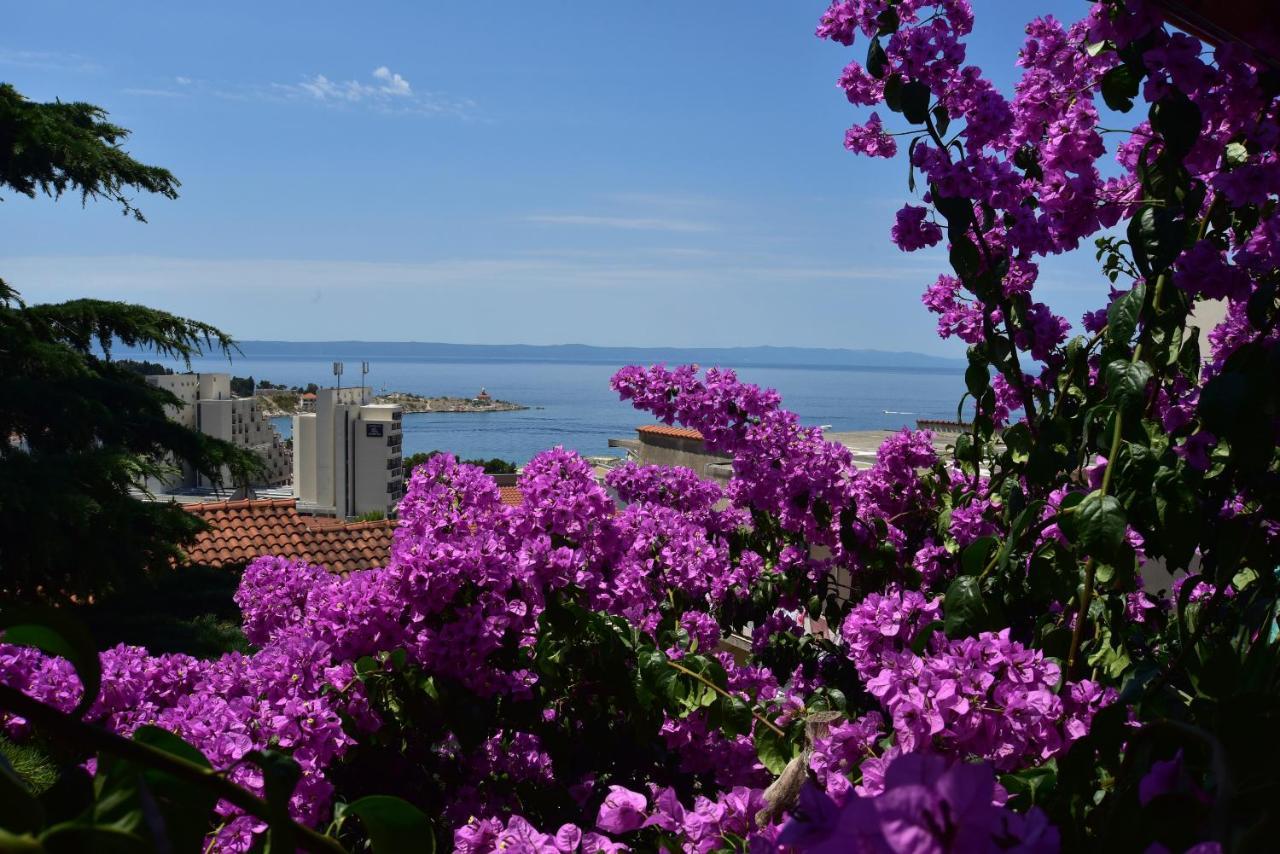 Apartments Dobrinic Makarska Zewnętrze zdjęcie